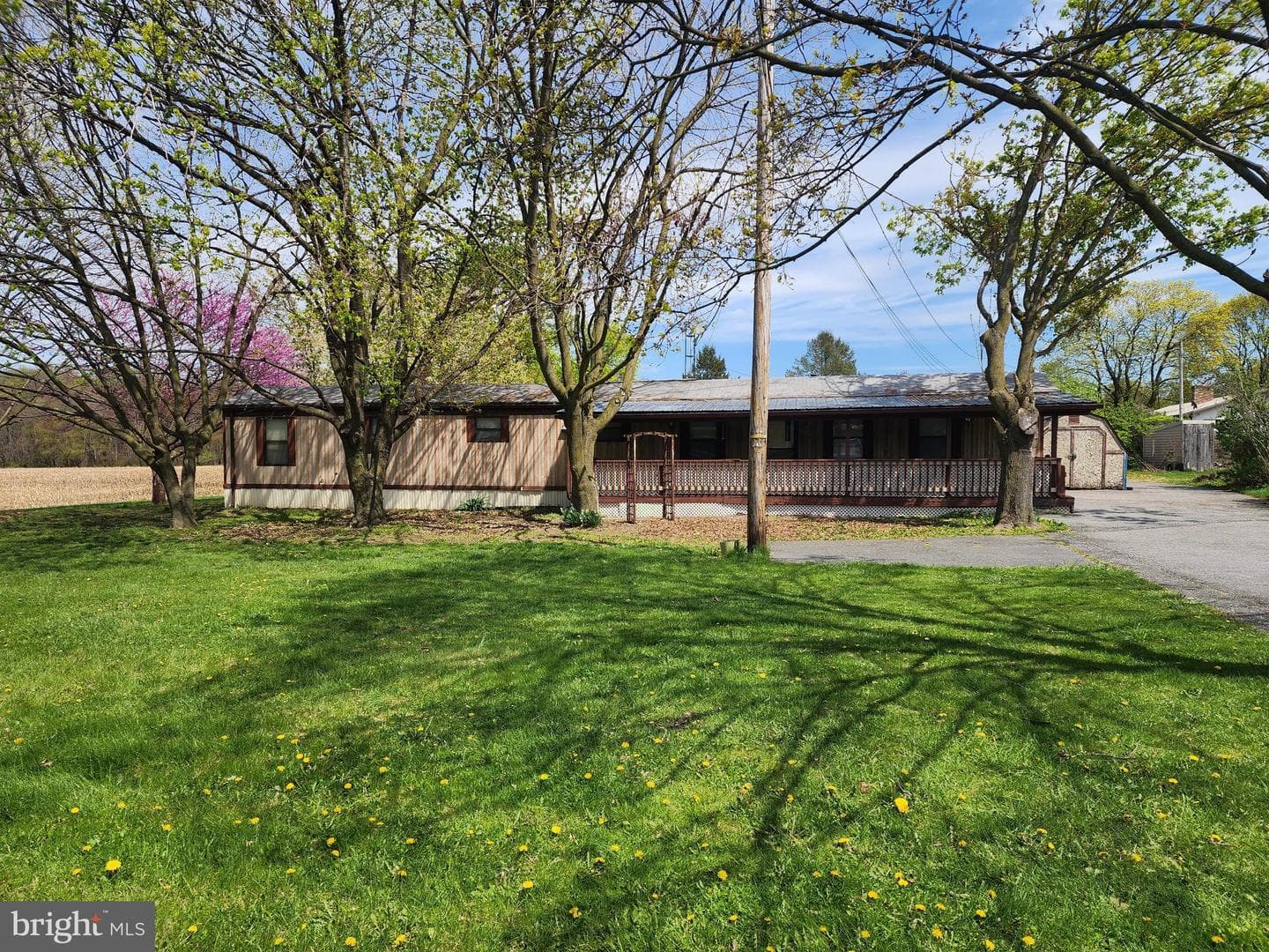109 Neil Road photo 2