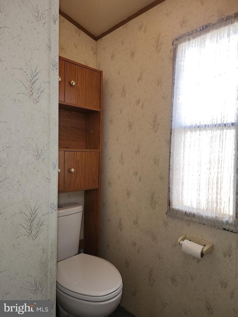 109 Neil Road photo 35