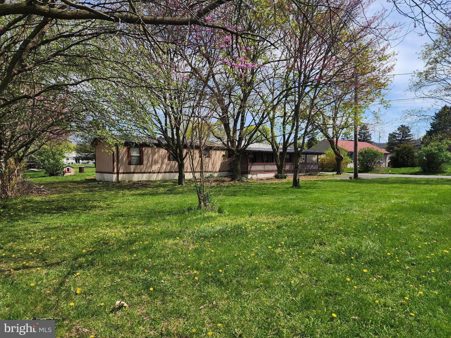 109 Neil Road photo 4