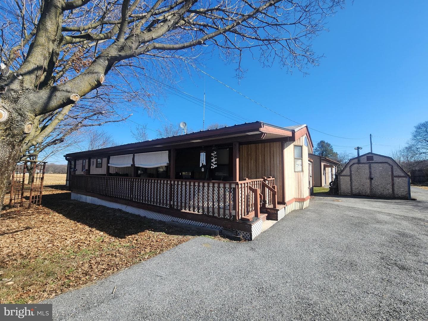 109 Neil Road photo 5