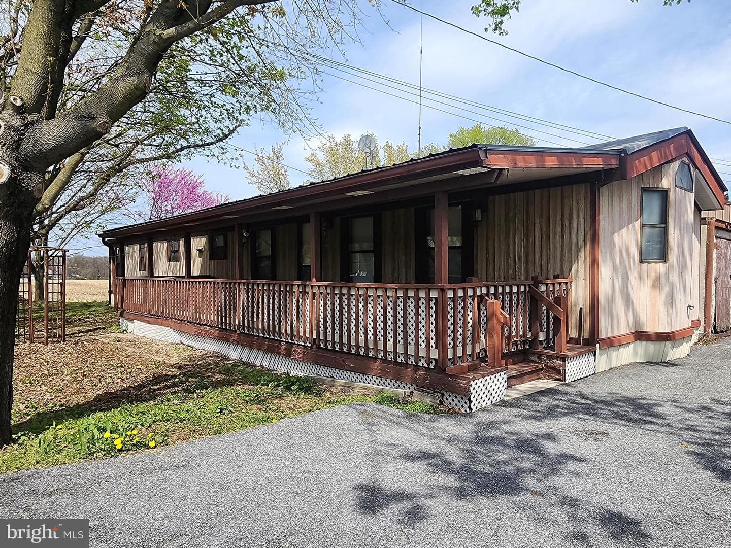 109 Neil Road photo 6