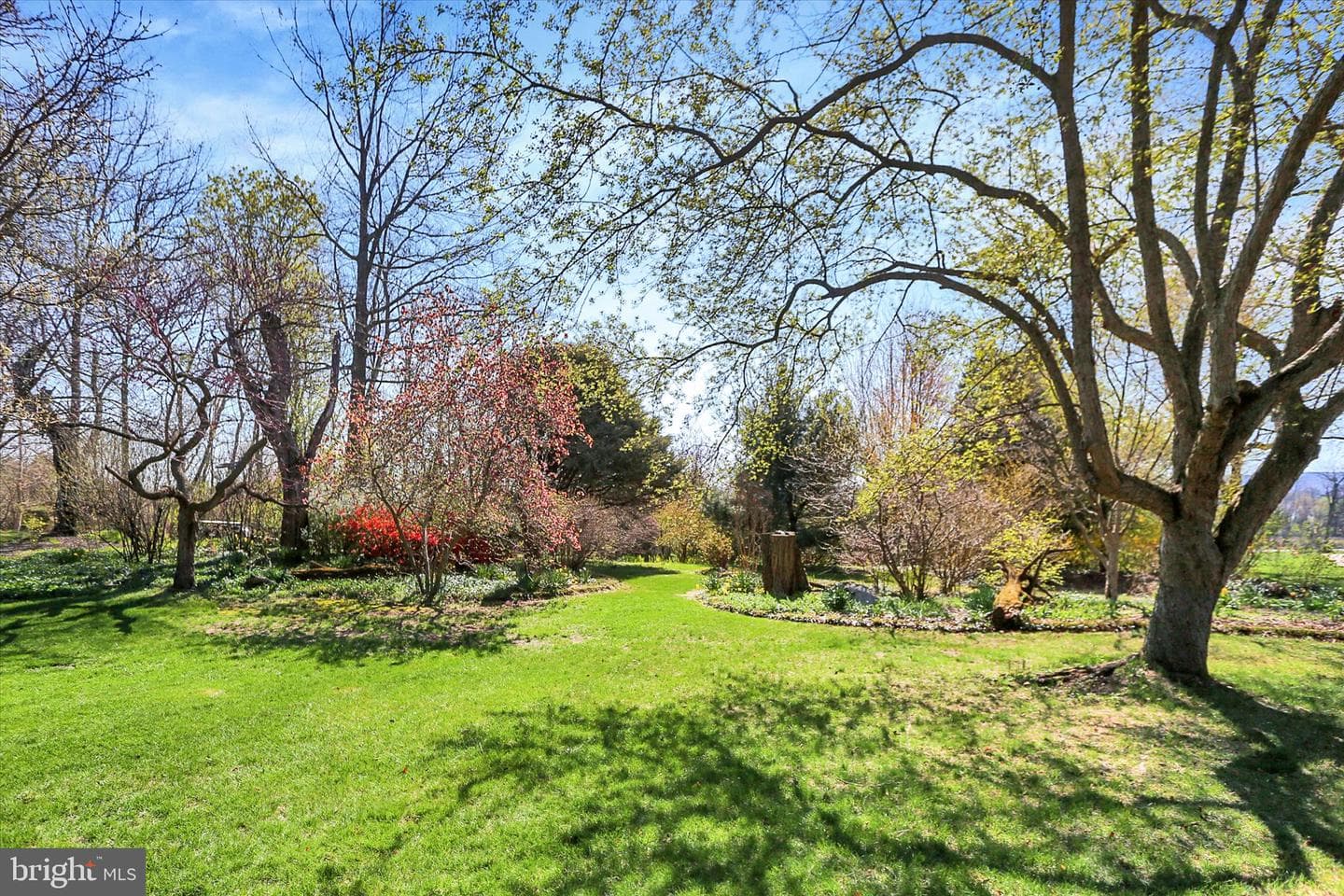 616 Brad Street photo 29