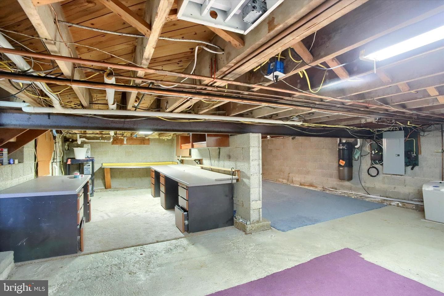 25 Oak Avenue photo 39