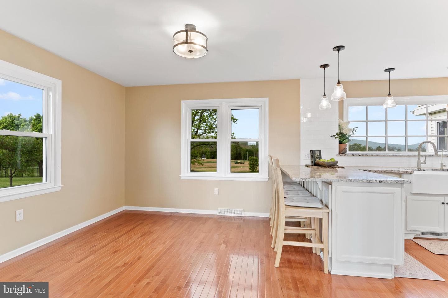 1393 Lutztown Road photo 13