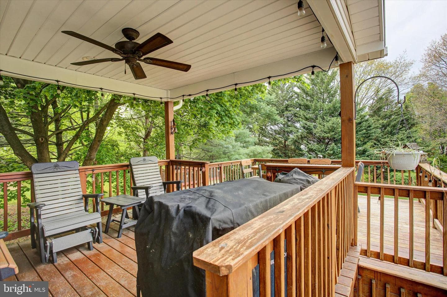64 Diller Drive photo 53