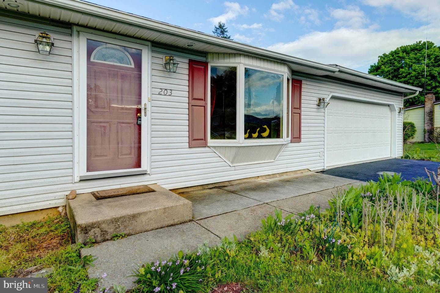 203 Shughart Avenue photo 4
