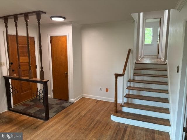 112 Old Mill Drive photo 18