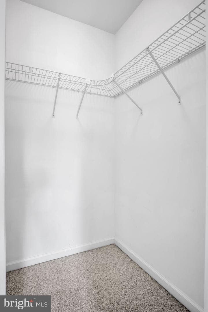 206 Brighton Drive photo 15