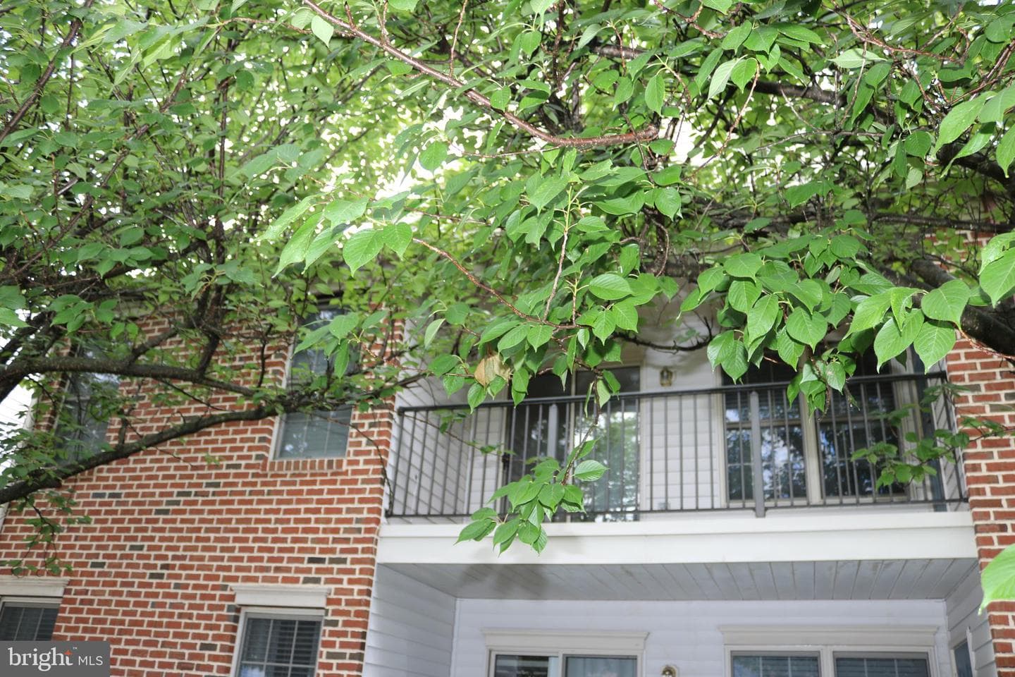 5401 Oxford Drive #08