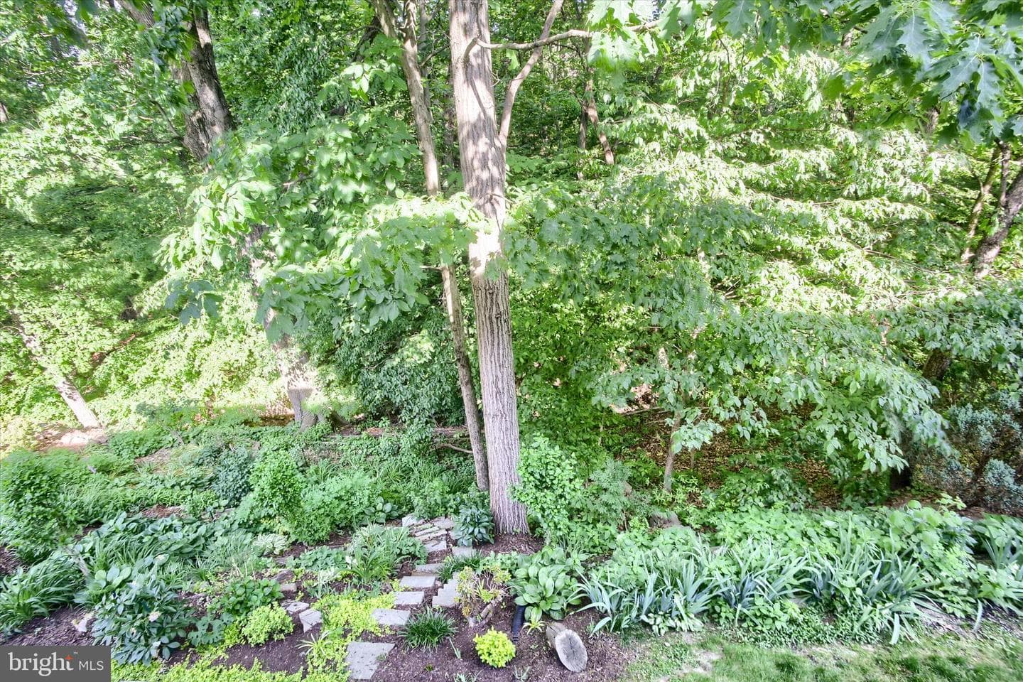 1428 Timber Chase Drive photo 23
