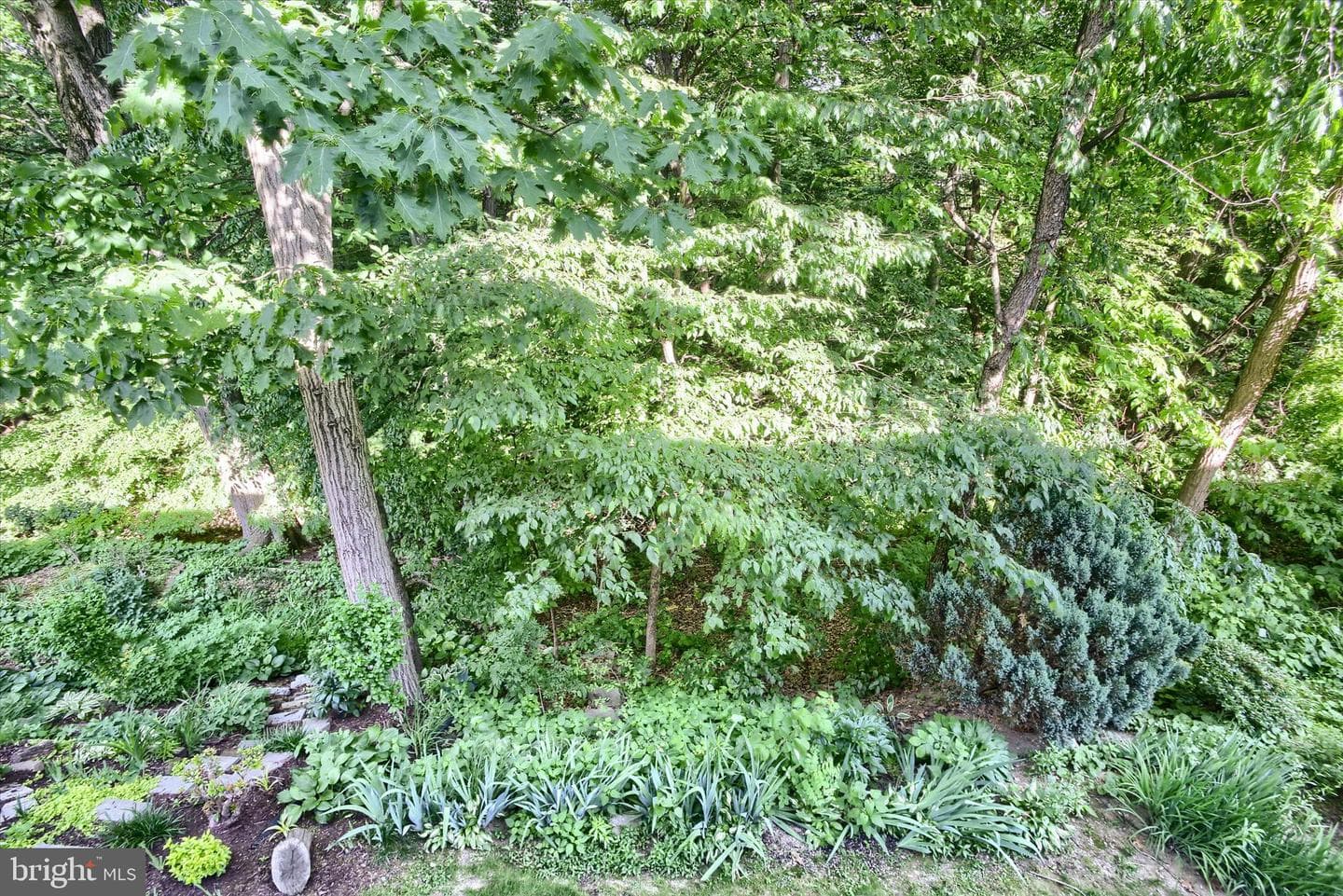 1428 Timber Chase Drive photo 24