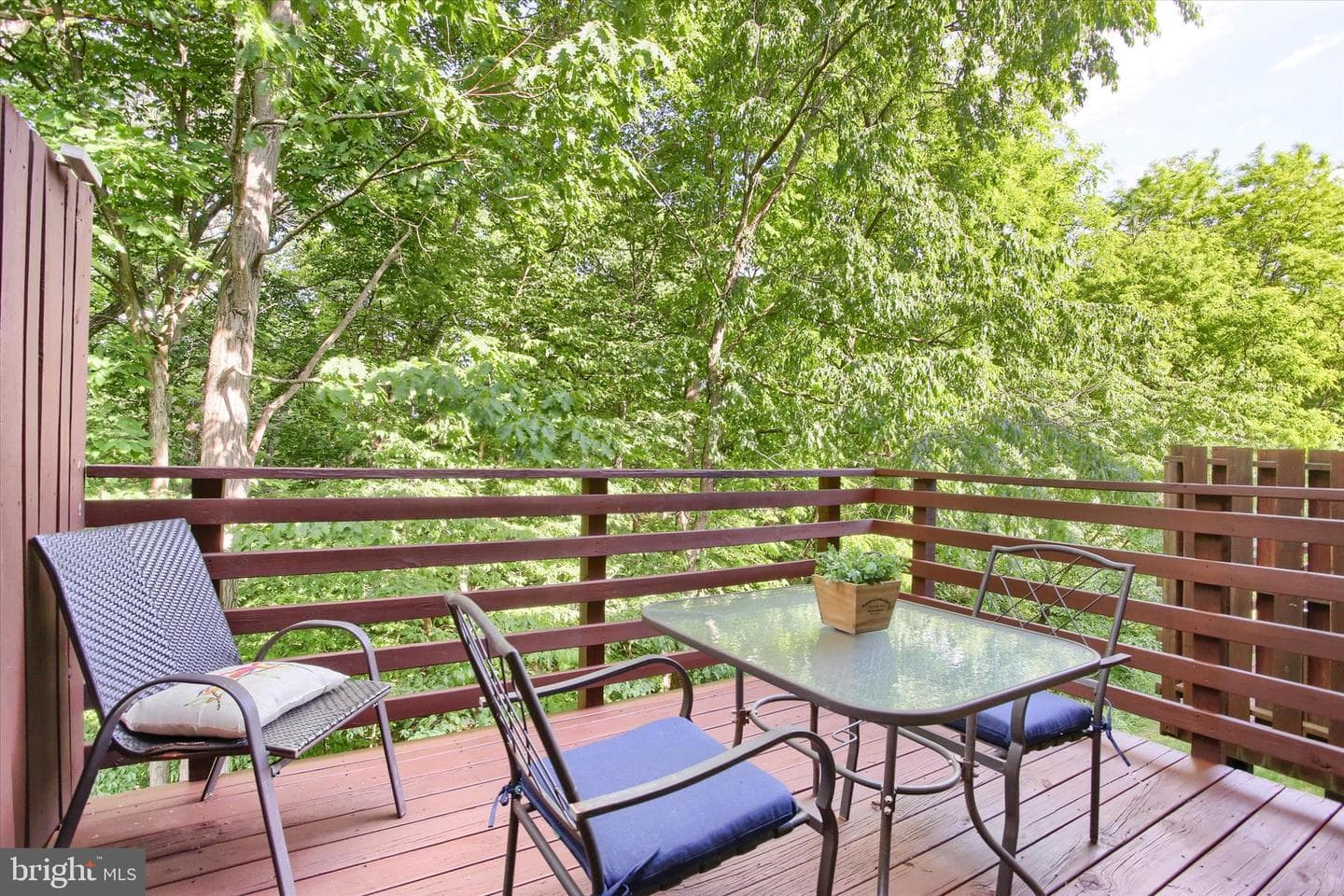 1428 Timber Chase Drive photo 25