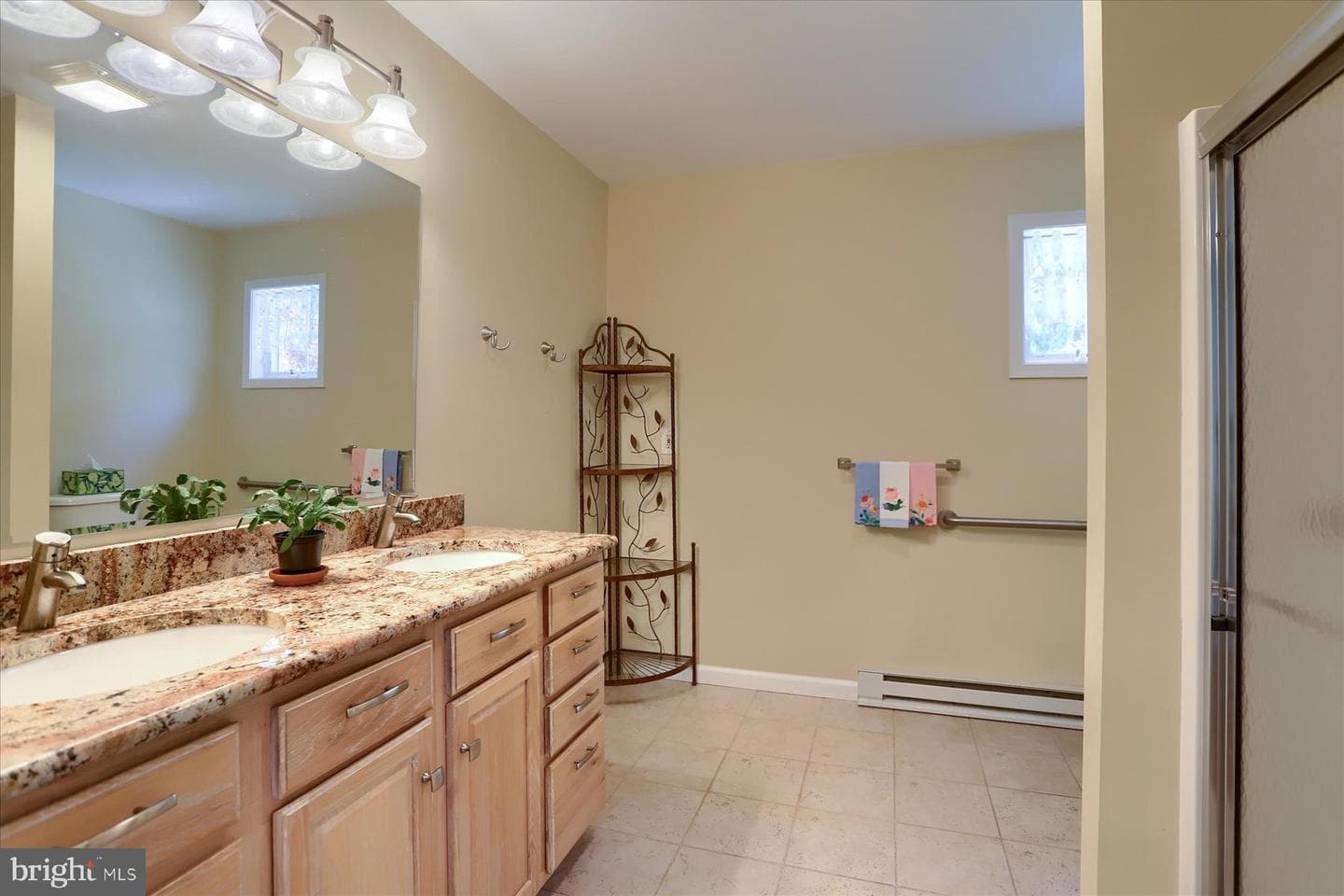 1207 White Birch Lane photo 29