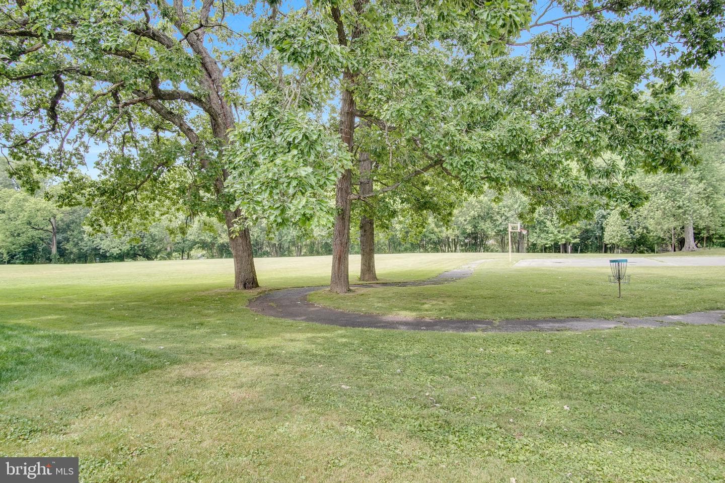 649 Erford Road photo 7