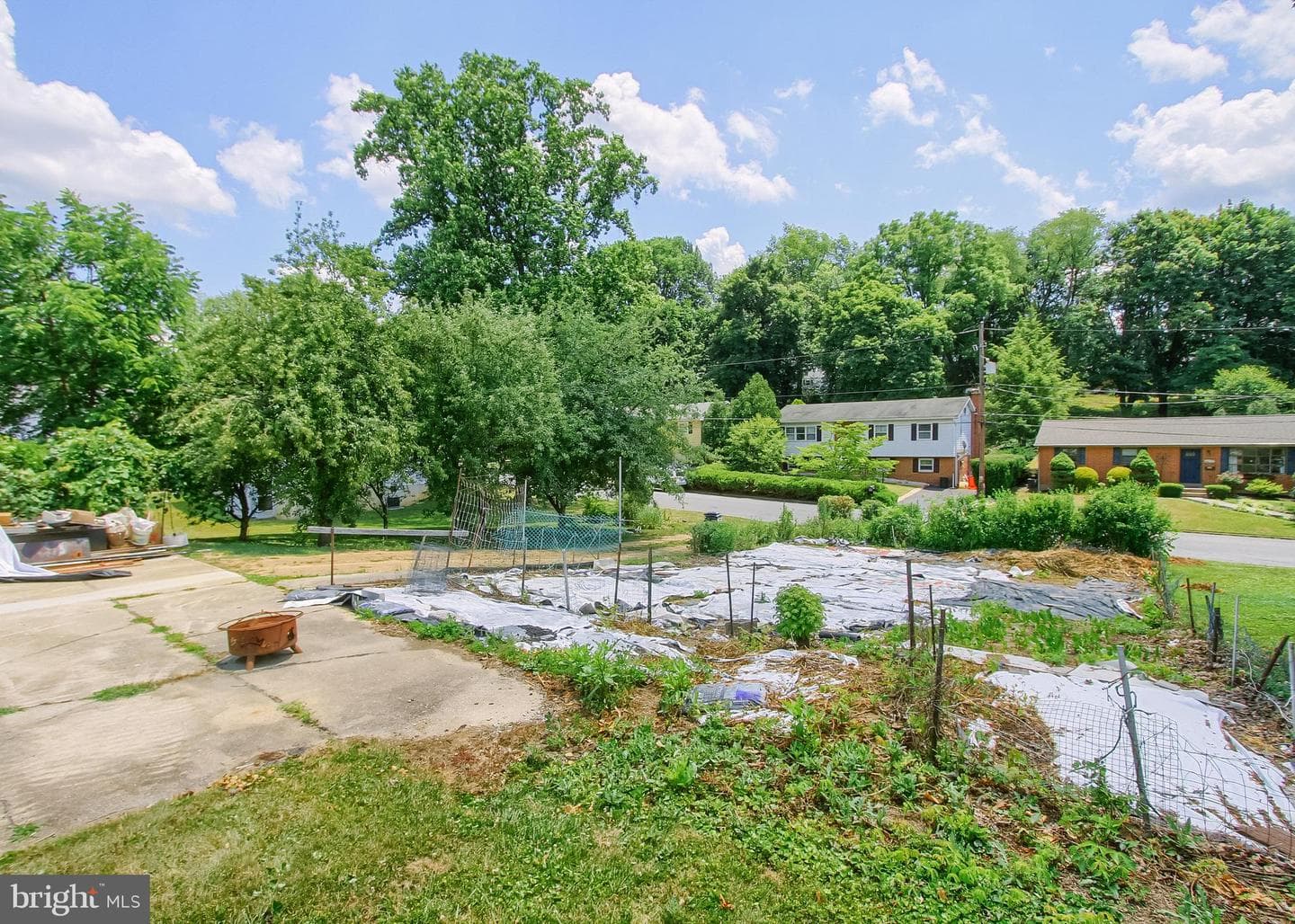 2029 Clarendon St photo 36