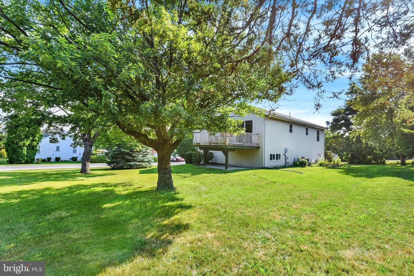 100 Fern Avenue photo 29