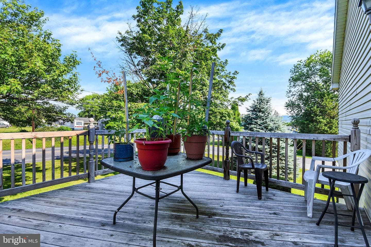 100 Fern Avenue photo 33