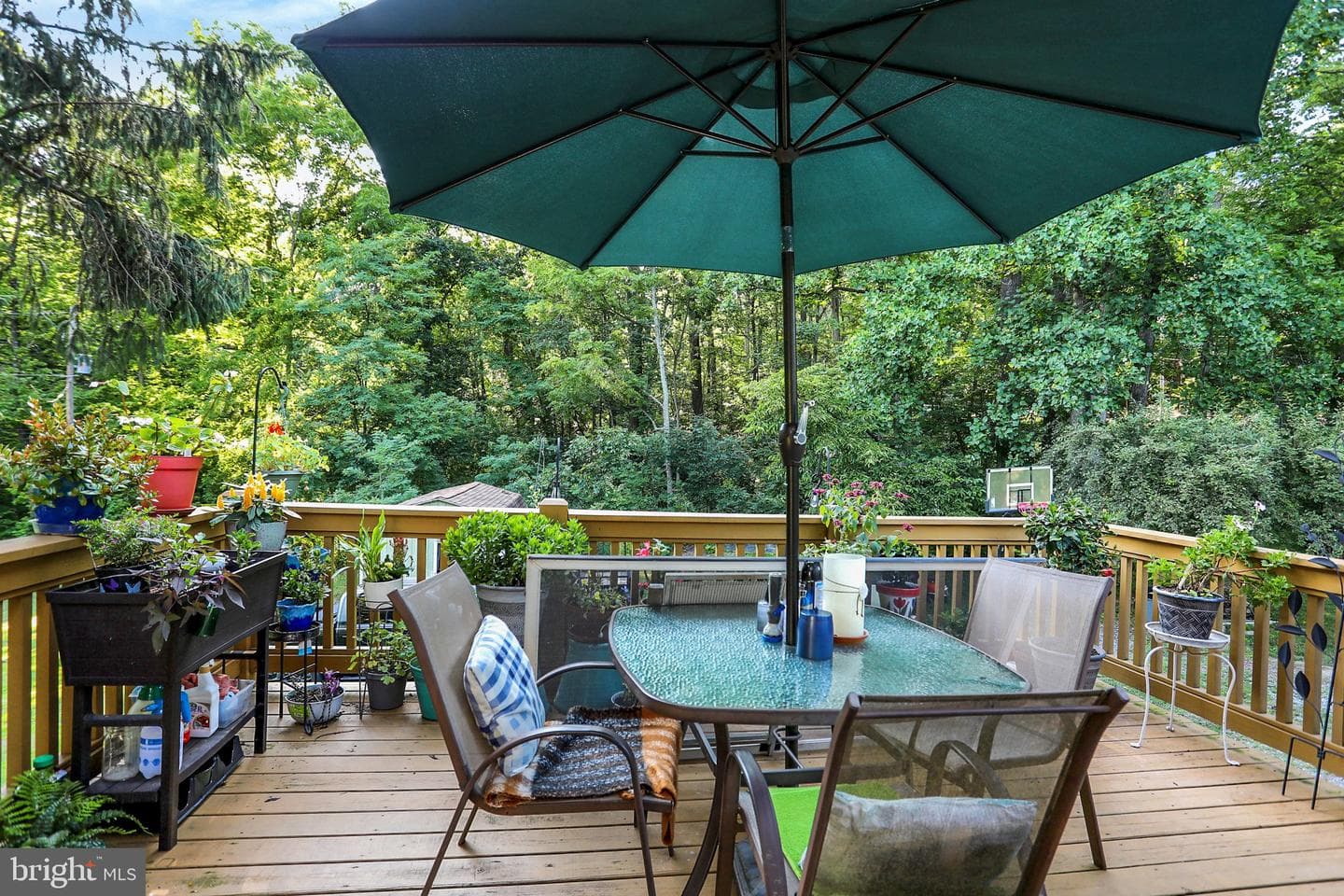 65 Sunnyside Drive photo 44
