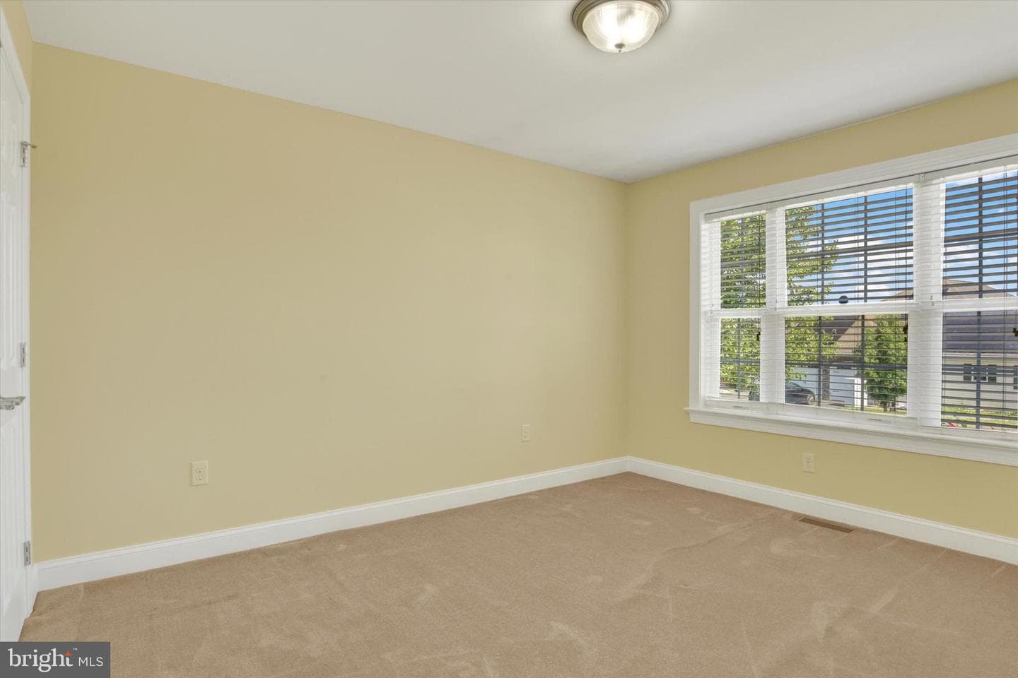 807 Genevieve Drive photo 19