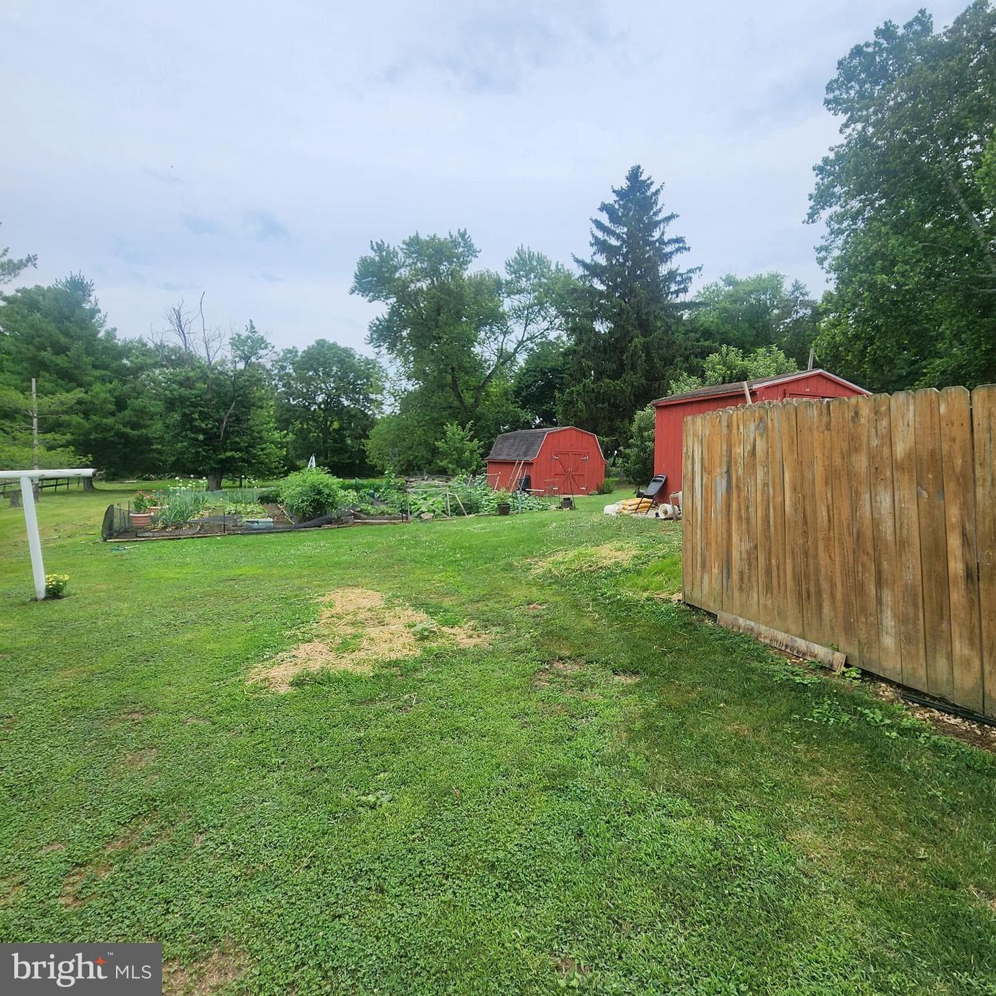 493 Criswell Drive photo 14