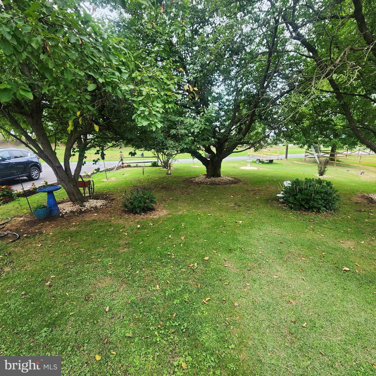 493 Criswell Drive photo 5