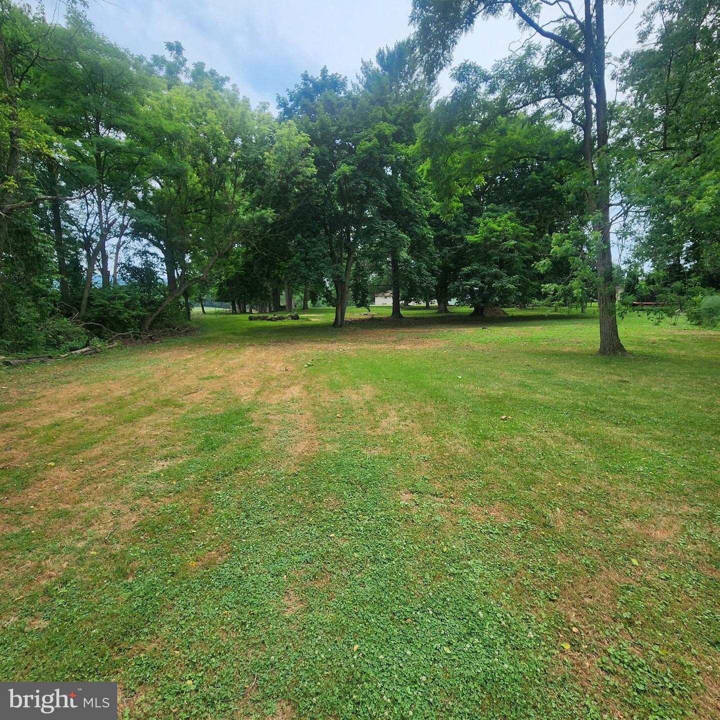 493 Criswell Drive photo 8