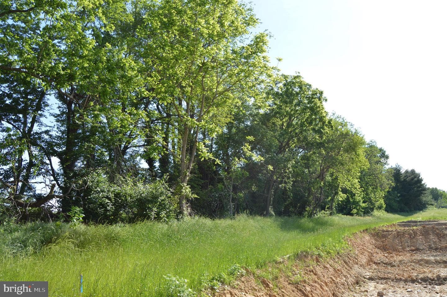 9 Tullow Hill Drive photo 33