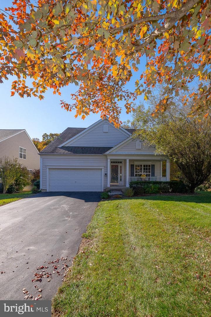 347 Astilbe Drive photo 10