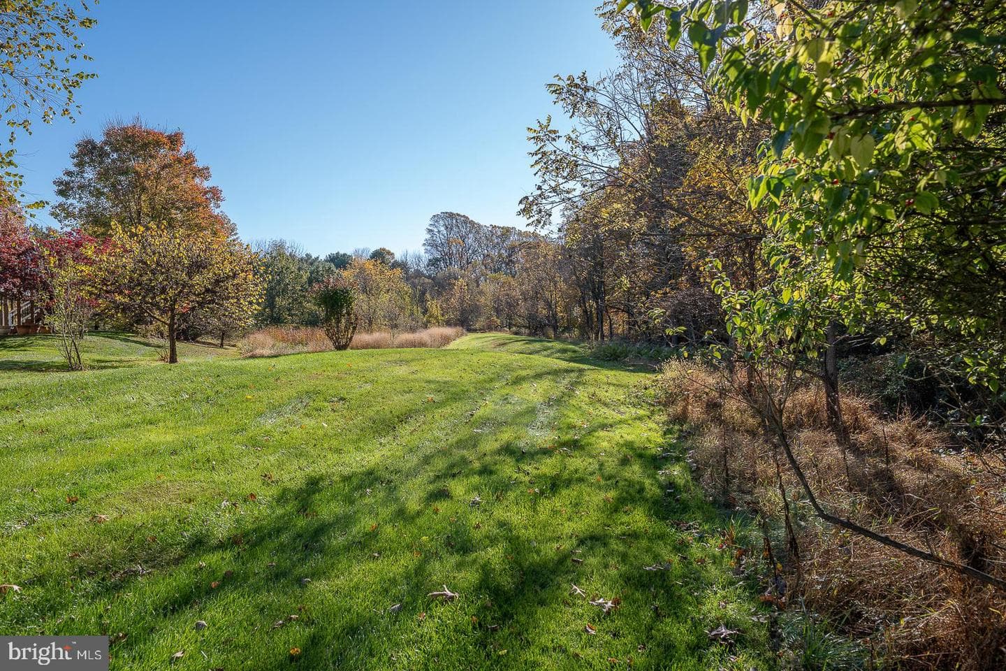 347 Astilbe Drive photo 6