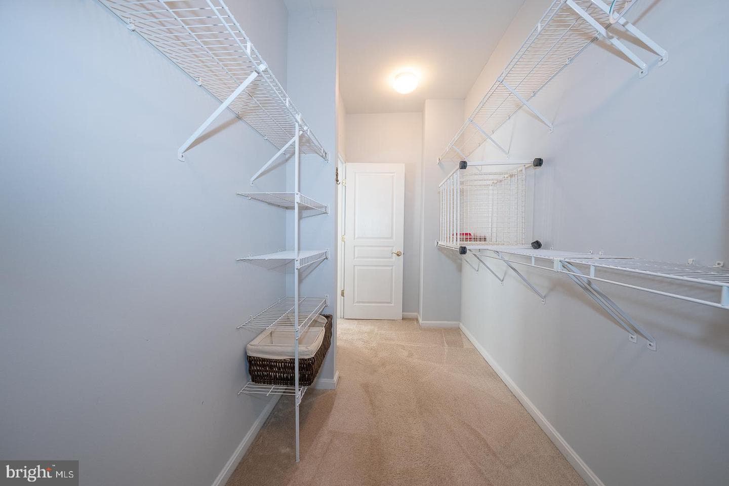 347 Astilbe Drive photo 71