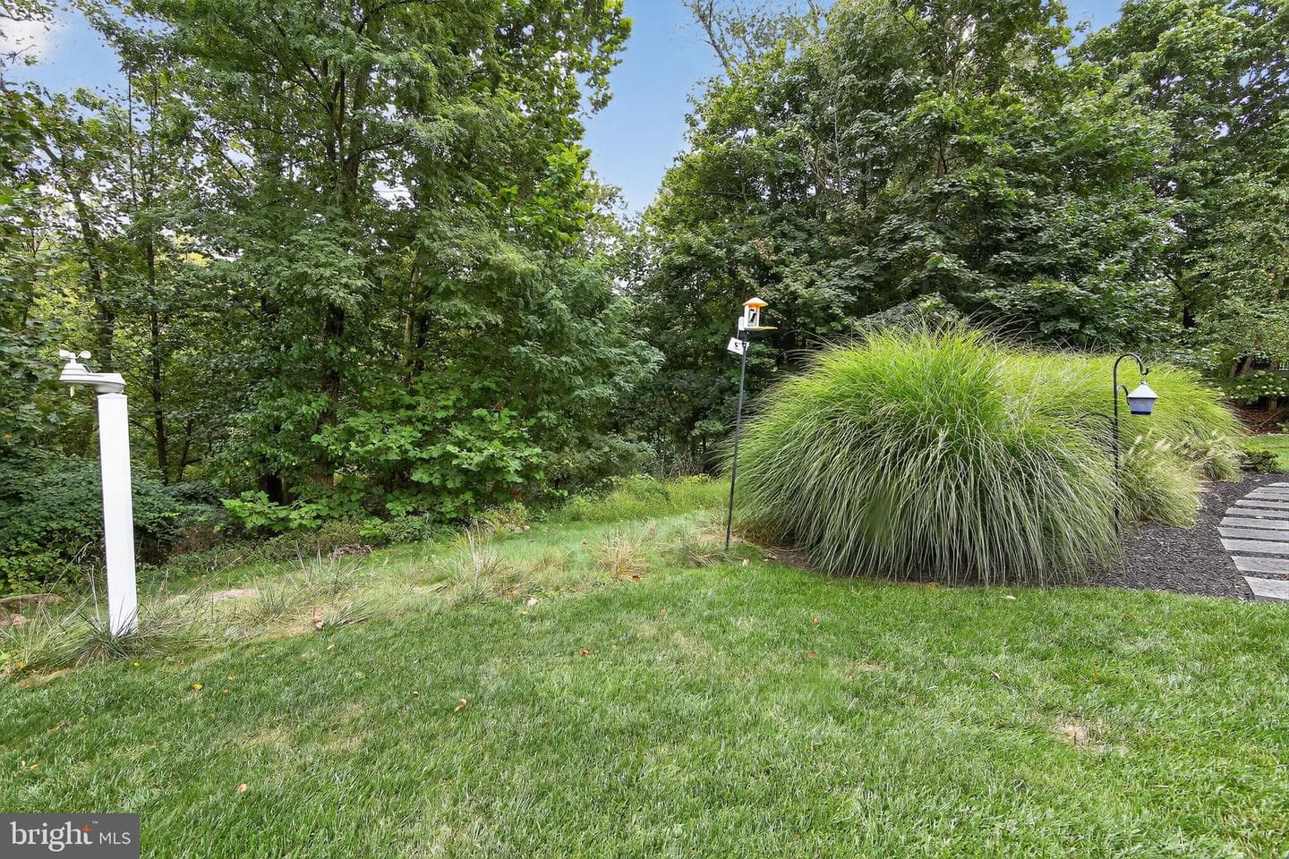 804 Plumtry Drive photo 39