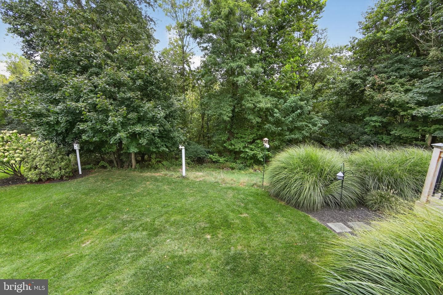 804 Plumtry Drive photo 43
