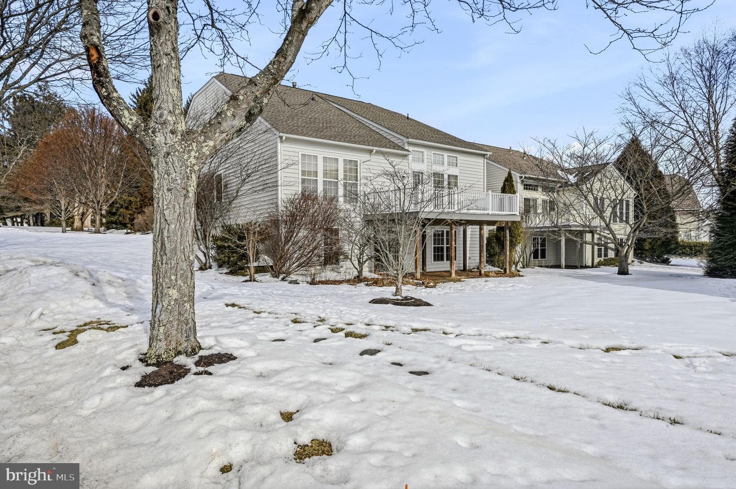 101 Violet Drive photo 4
