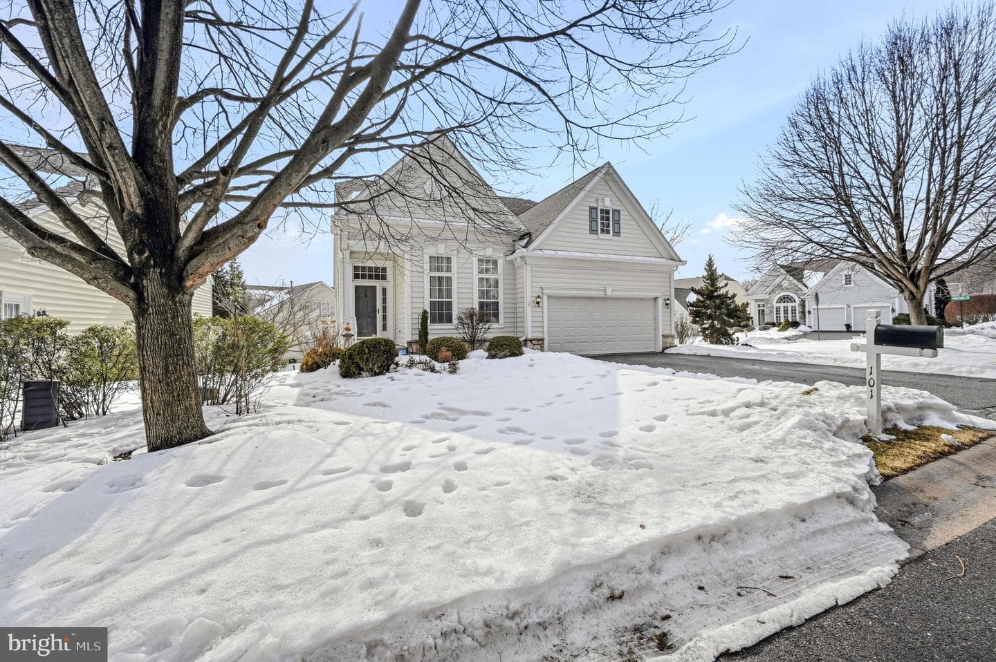 101 Violet Drive photo 5