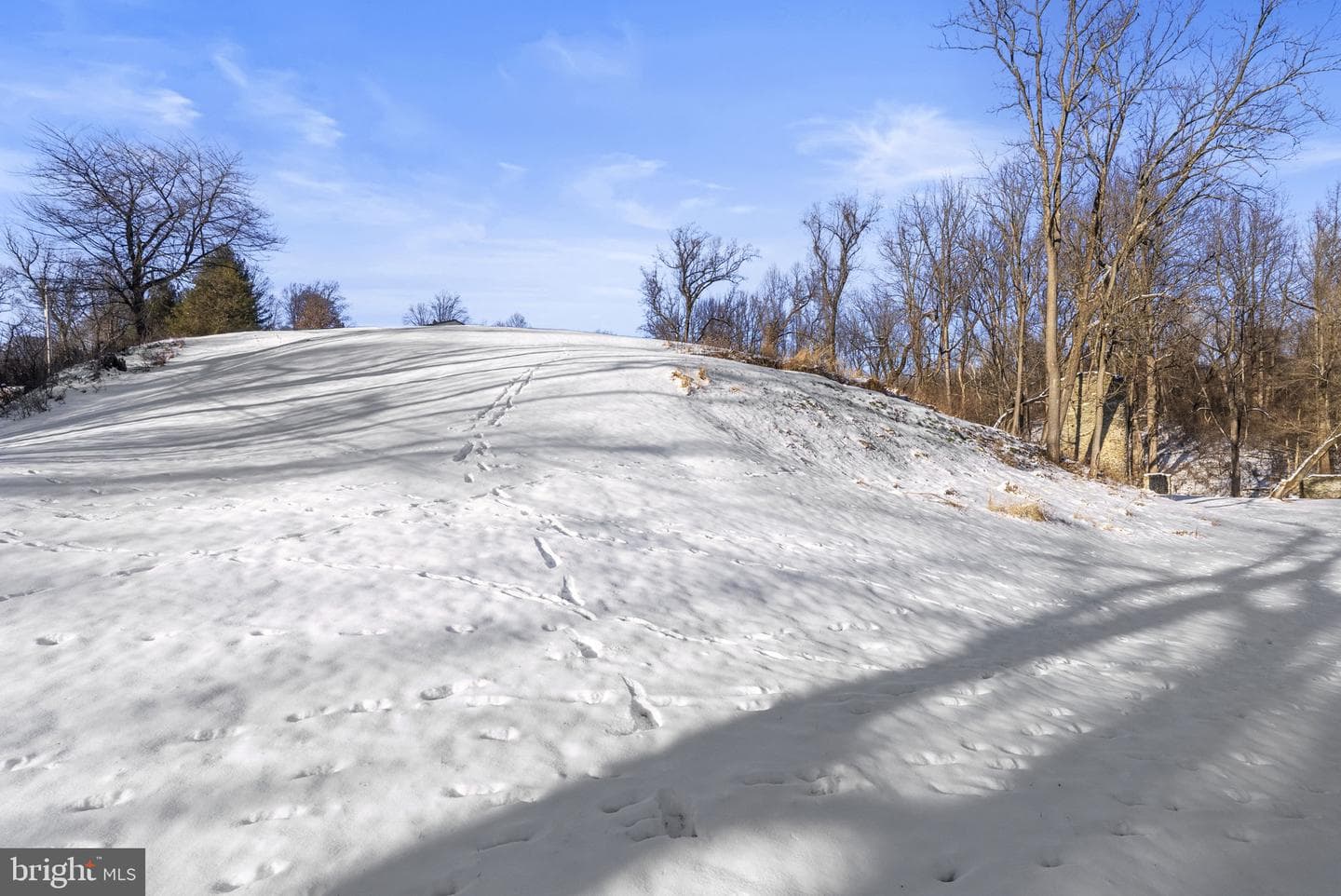 1009 Stargazers Road photo 57