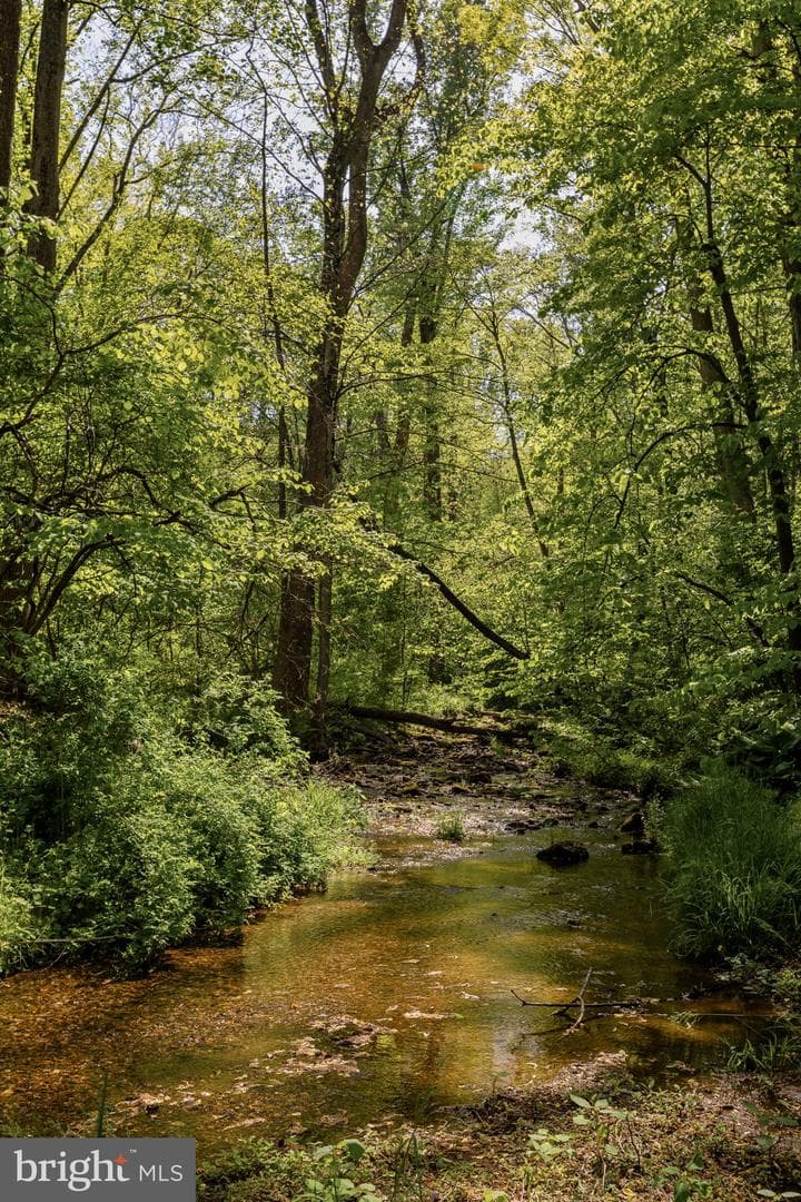 2800 Horseshoe Trail photo 74