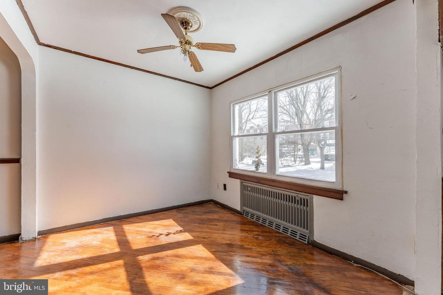 390 Mary St photo 19