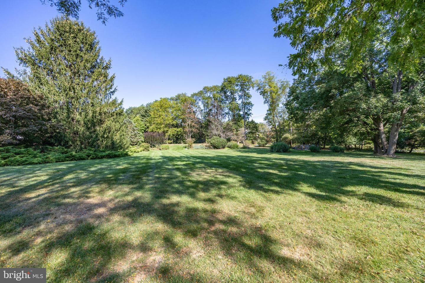 21 Lexington Manor photo 16