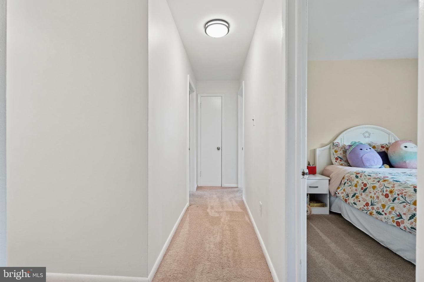 41 S Spring Lane photo 26