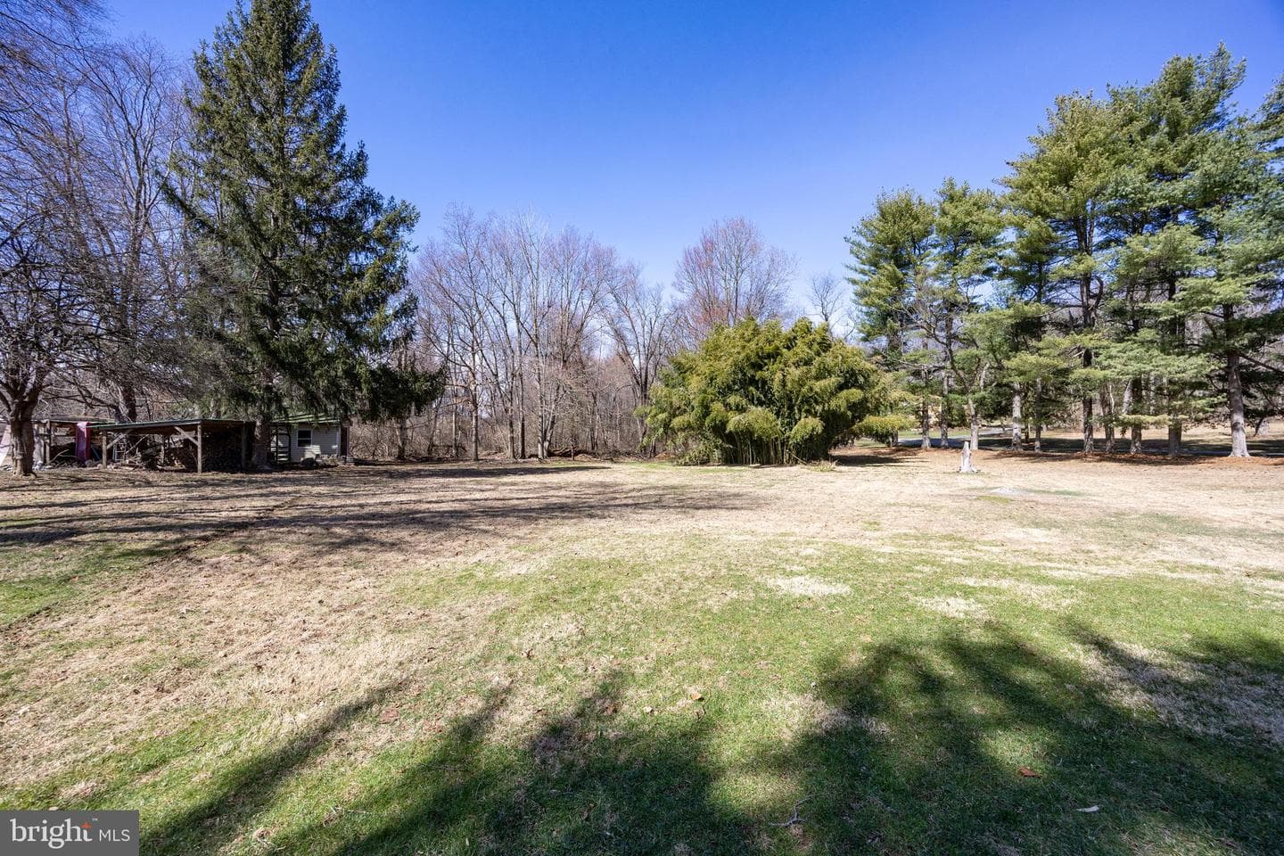 41 Denton Drive photo 33