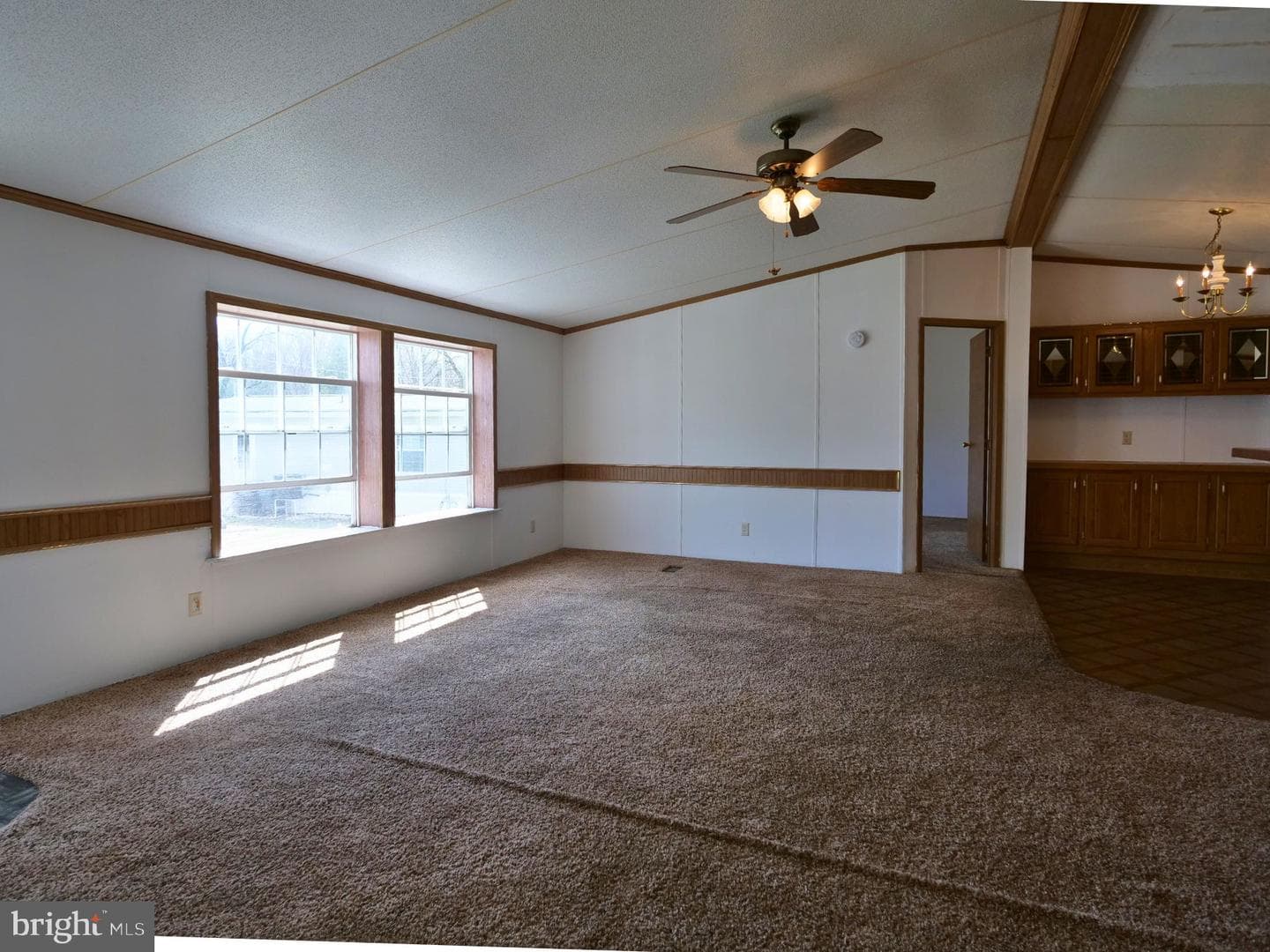 31 Terrace Drive photo 6