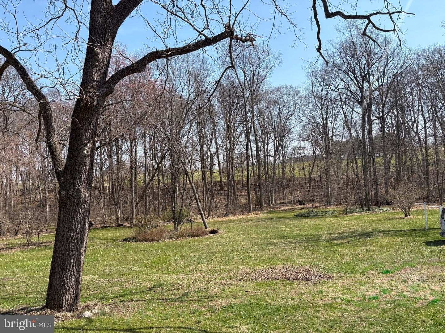 8 Briar Chase Road photo 32