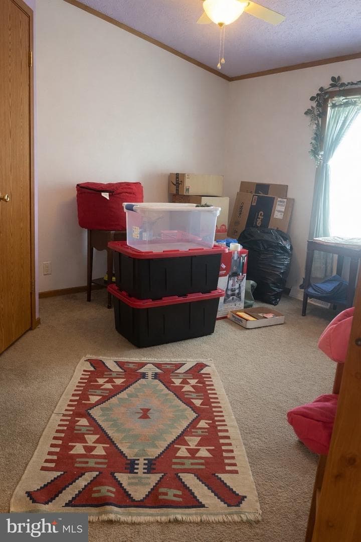 116 Erica Circle photo 15