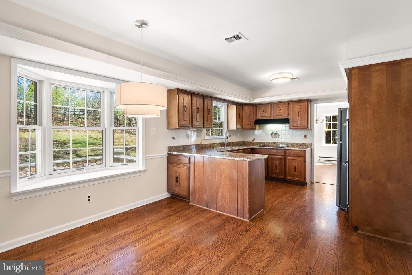 1 Anthony Drive photo 12