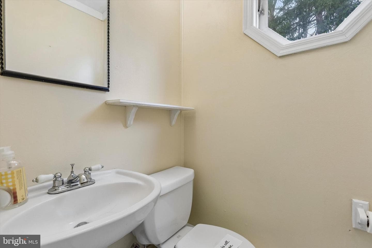 27 Woodbine Avenue photo 11
