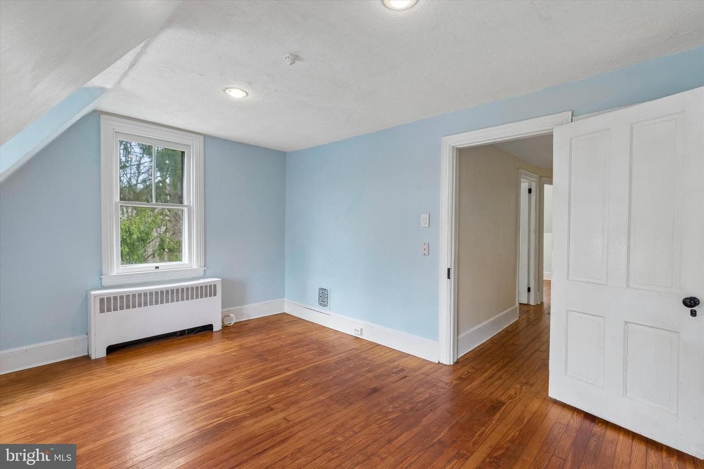 27 Woodbine Avenue photo 20