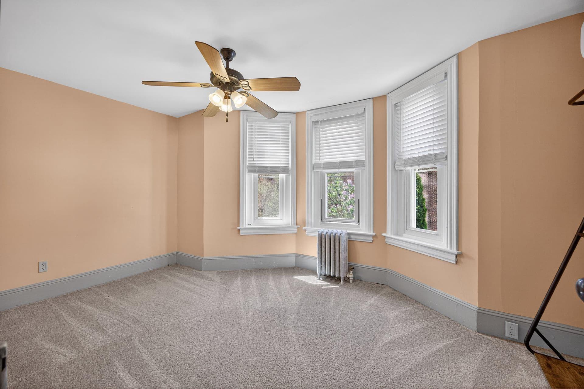 321 Walnut Street photo 19