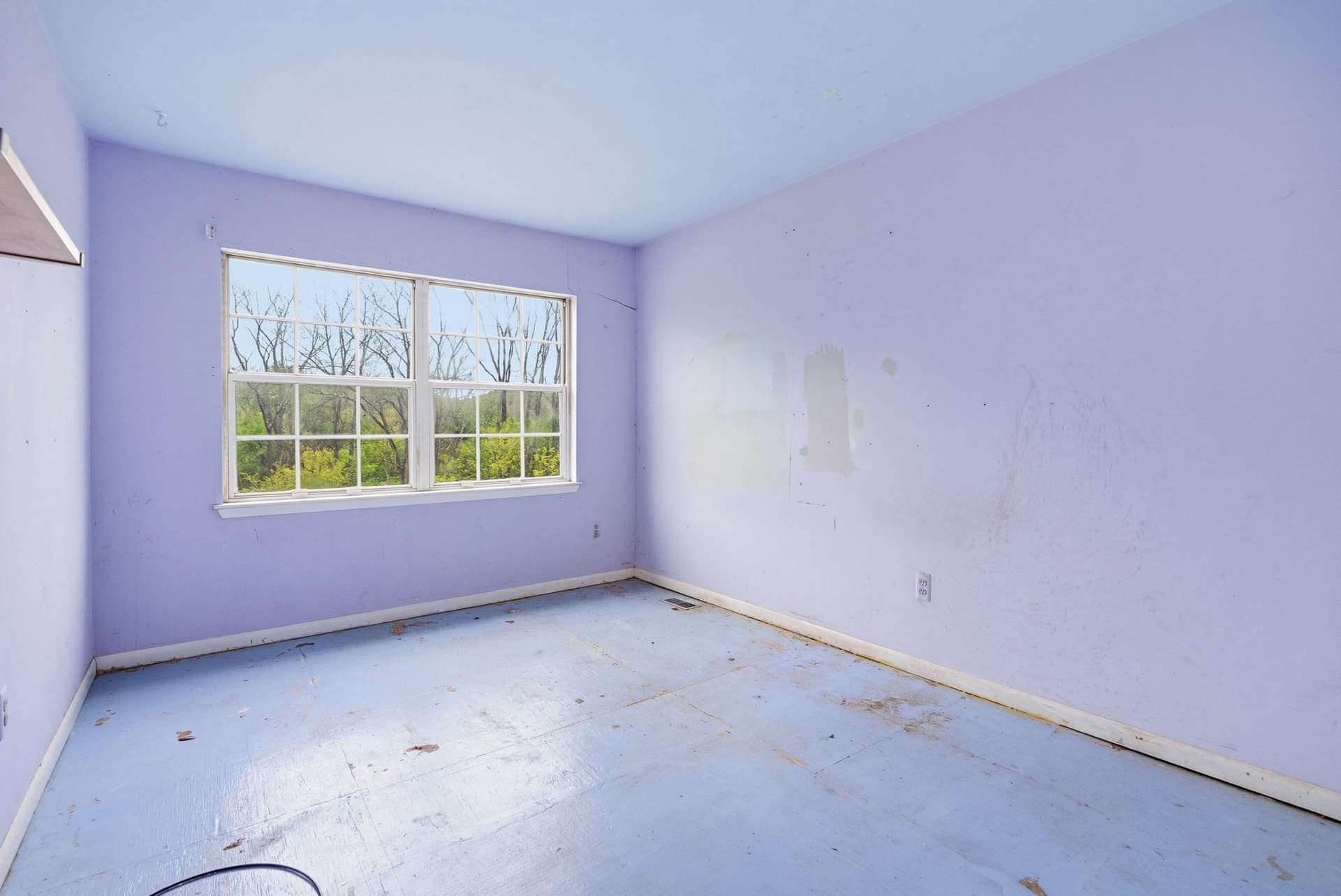 262 Carlyn Court photo 25