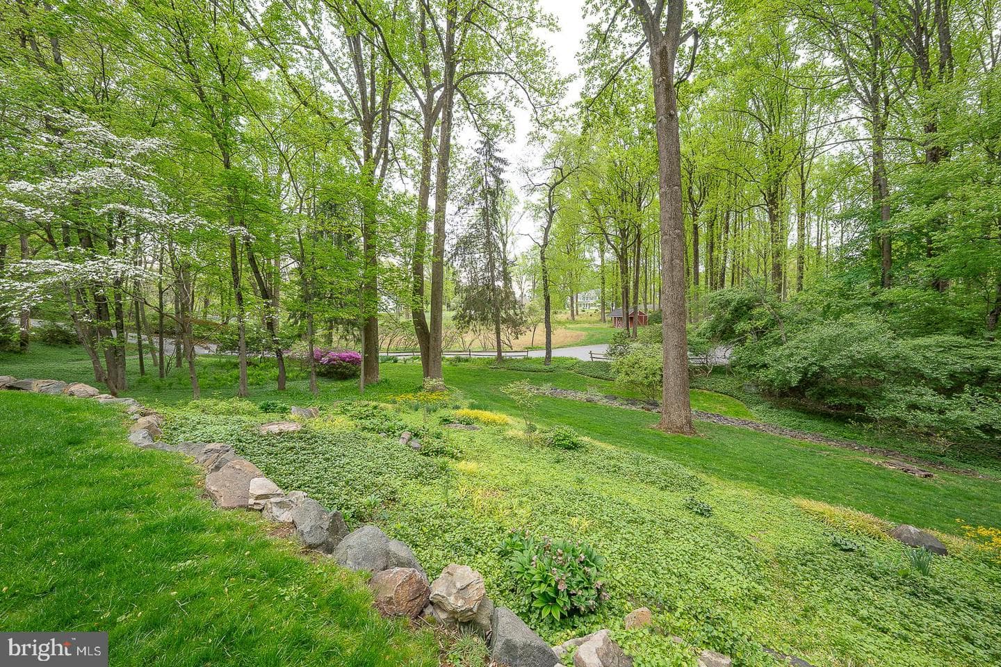 6 Quarterwood Road photo 51