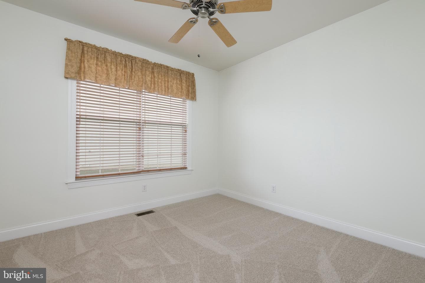 203 Hendrickson Lane photo 21